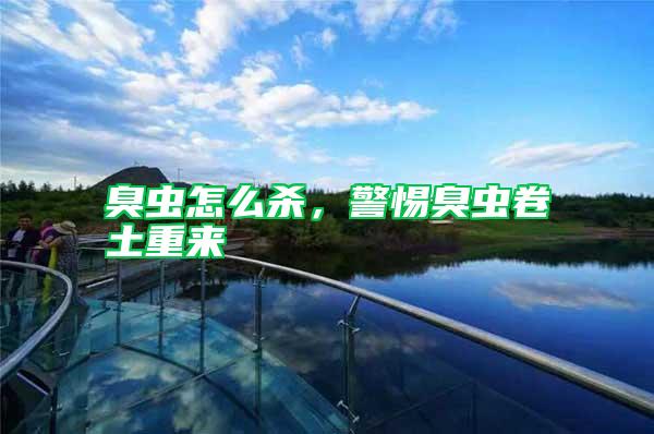 臭蟲怎么殺，警惕臭蟲卷土重來