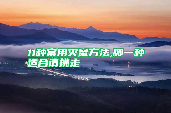 11種常用滅鼠方法,哪一種適合請挑走