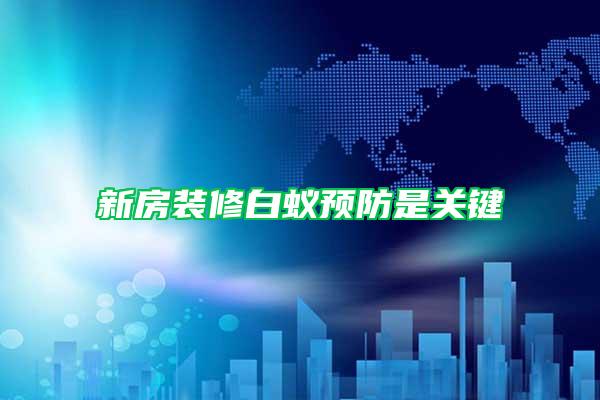 新房裝修白蟻預(yù)防是關(guān)鍵