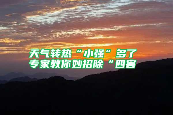 天氣轉(zhuǎn)熱“小強(qiáng)”多了 專(zhuān)家教你妙招除“四害