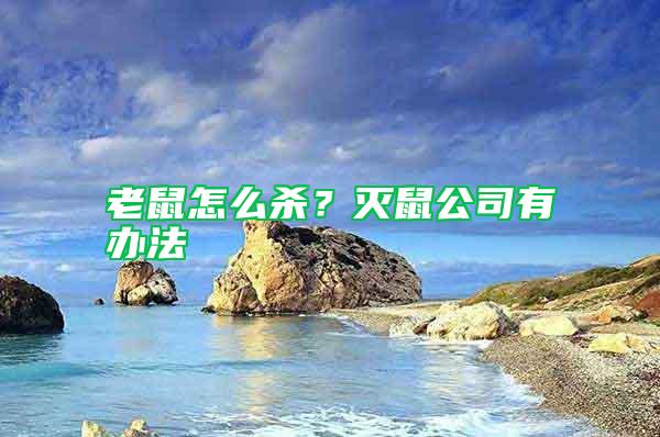 老鼠怎么殺？滅鼠公司有辦法