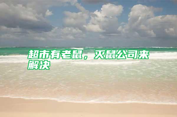 超市有老鼠,滅鼠公司來解決