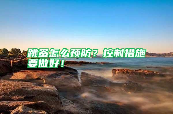 跳蚤怎么預(yù)防?控制措施要做好!