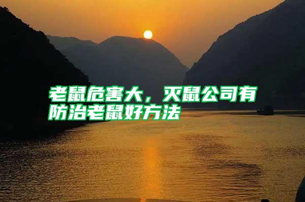 老鼠危害大,滅鼠公司有防治老鼠好方法