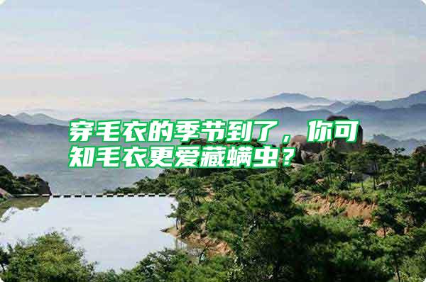 穿毛衣的季節到了，你可知毛衣更愛藏螨蟲？