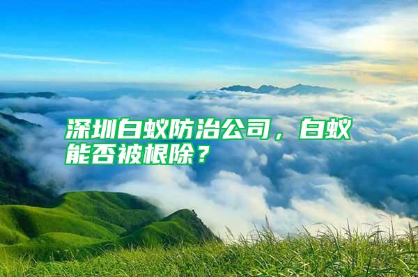 深圳白蟻防治公司，白蟻能否被根除？