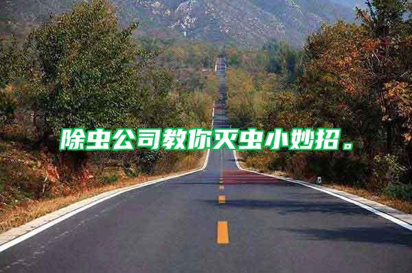 除蟲公司教你滅蟲小妙招。