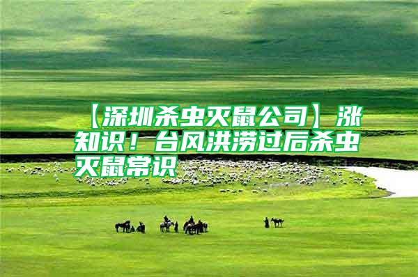 【深圳殺蟲滅鼠公司】漲知識！臺風洪澇過后殺蟲滅鼠常識