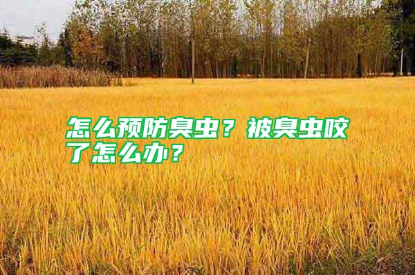 怎么預(yù)防臭蟲(chóng)？被臭蟲(chóng)咬了怎么辦？
