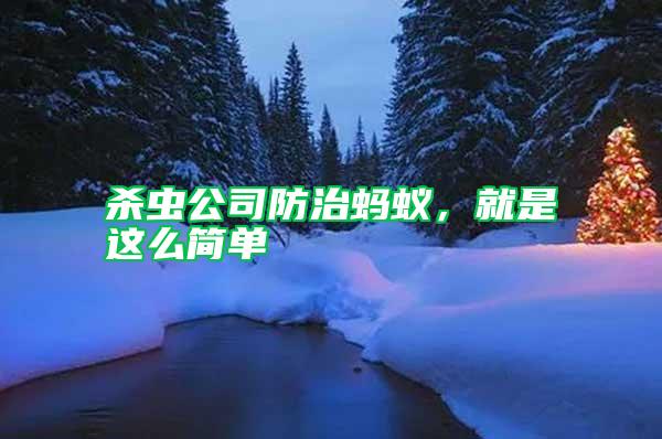 殺蟲公司防治螞蟻，就是這么簡單