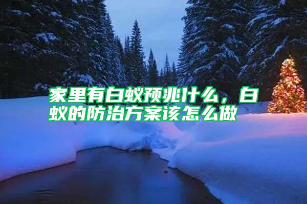家里有白蟻預(yù)兆什么，白蟻的防治方案該怎么做
