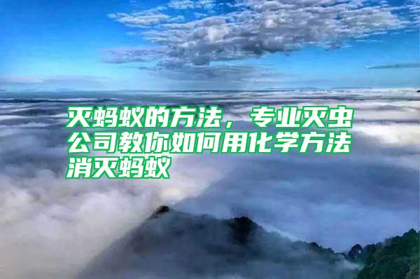 滅螞蟻的方法，專業滅蟲公司教你如何用化學方法消滅螞蟻