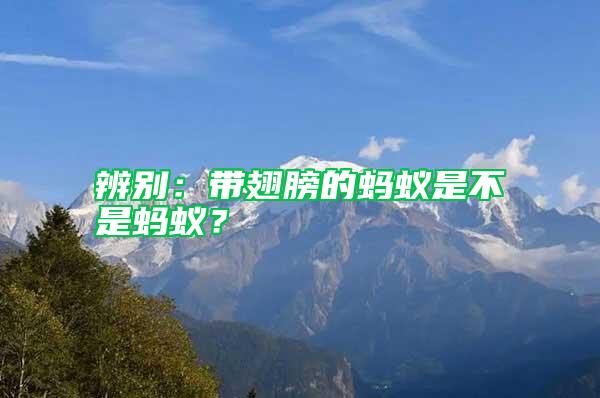 辨別：帶翅膀的螞蟻是不是螞蟻？