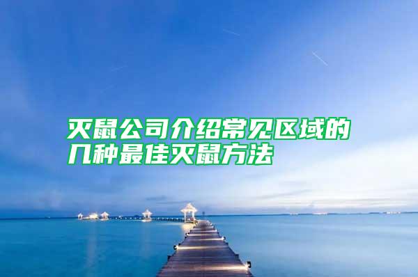 滅鼠公司介紹常見區域的幾種最佳滅鼠方法