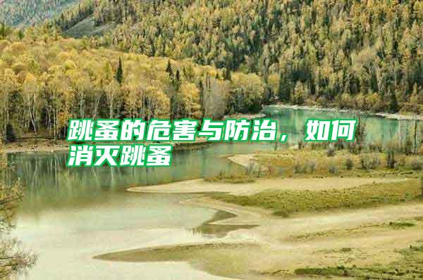 跳蚤的危害與防治，如何消滅跳蚤