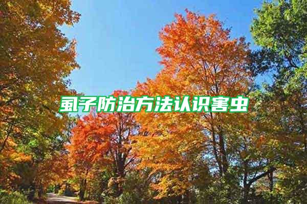 虱子防治方法認(rèn)識害蟲