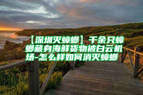 【深圳滅蟑螂】千余只蟑螂藏身海鮮貨物被白云機(jī)場-怎么樣如何消滅蟑螂