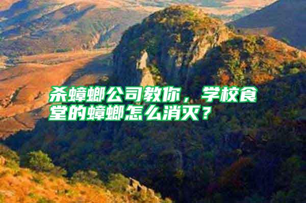殺蟑螂公司教你，學校食堂的蟑螂怎么消滅？