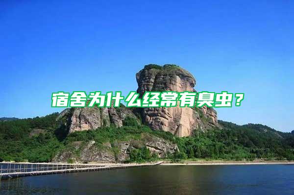 宿舍為什么經常有臭蟲？