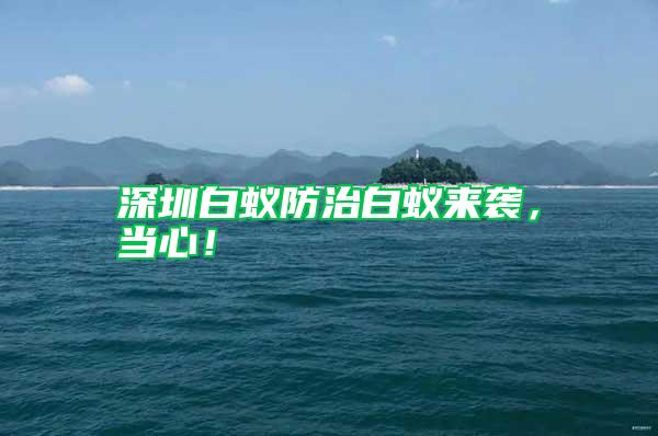 深圳白蟻防治白蟻來襲，當心！