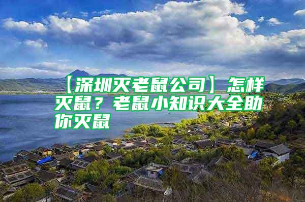【深圳滅老鼠公司】怎樣滅鼠？老鼠小知識大全助你滅鼠