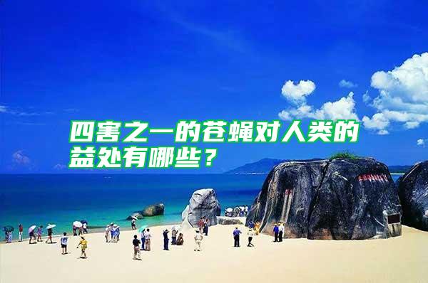 四害之一的蒼蠅對(duì)人類(lèi)的益處有哪些?