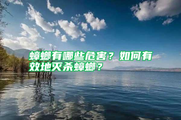 蟑螂有哪些危害?如何有效地滅殺蟑螂?