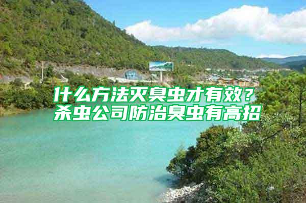 什么方法滅臭蟲(chóng)才有效？殺蟲(chóng)公司防治臭蟲(chóng)有高招