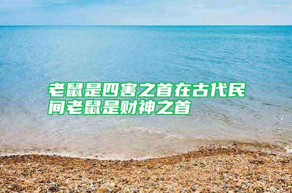 老鼠是四害之首在古代民間老鼠是財神之首