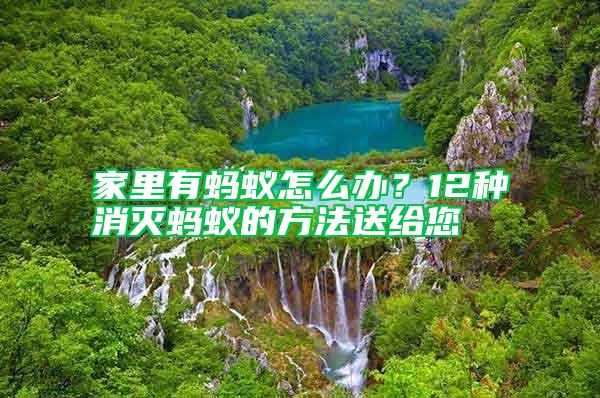 家里有螞蟻怎么辦?12種消滅螞蟻的方法送給您