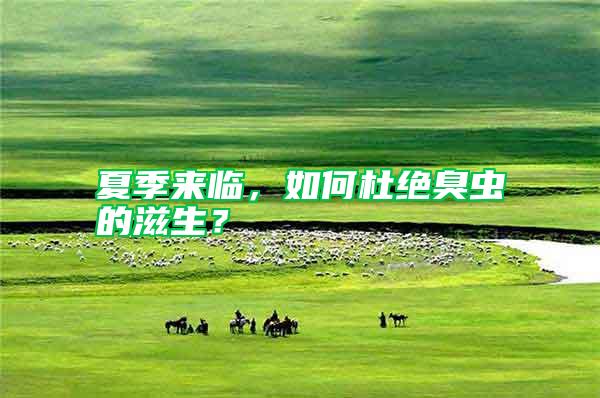 夏季來臨，如何杜絕臭蟲的滋生？