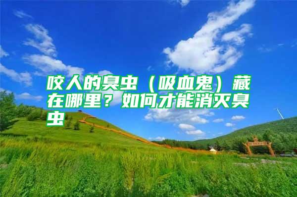 咬人的臭蟲（吸血鬼）藏在哪里？如何才能消滅臭蟲