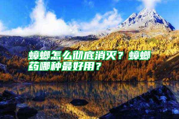 蟑螂怎么徹底消滅?蟑螂藥哪種最好用?