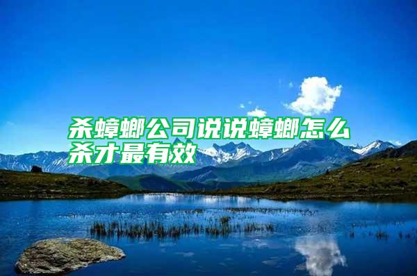 殺蟑螂公司說(shuō)說(shuō)蟑螂怎么殺才最有效