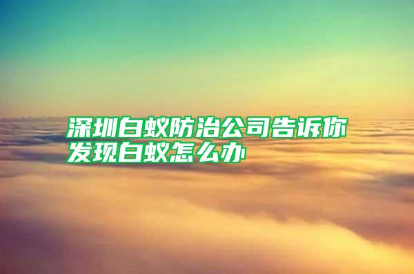 深圳白蟻防治公司告訴你發現白蟻怎么辦