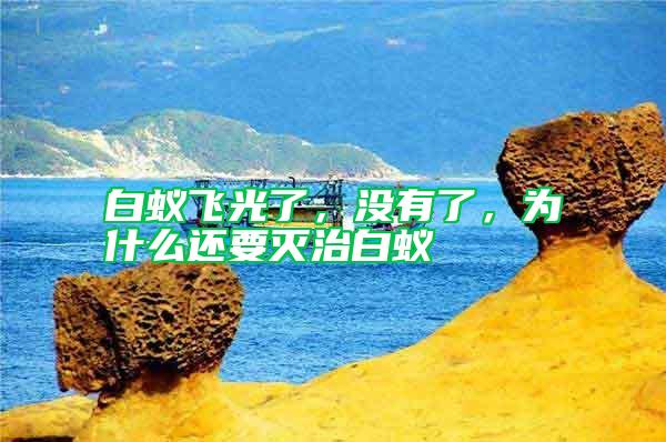 白蟻飛光了，沒有了，為什么還要滅治白蟻