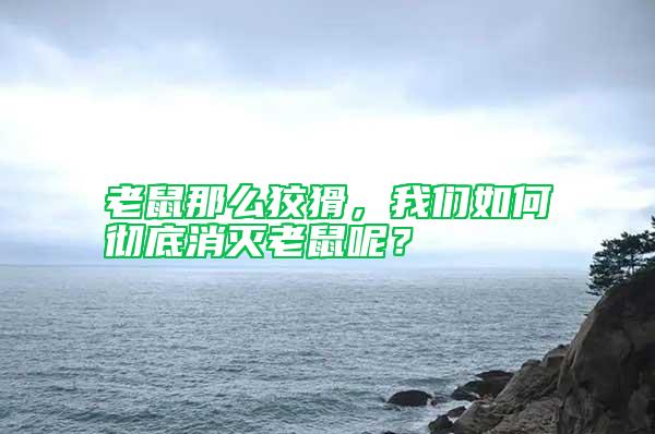 老鼠那么狡猾，我們如何徹底消滅老鼠呢？