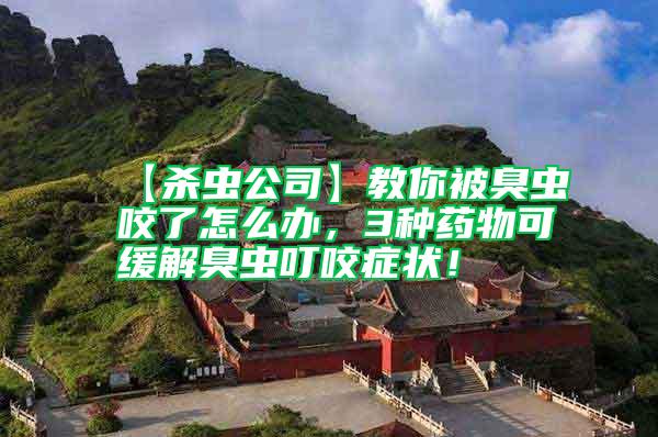 【殺蟲公司】教你被臭蟲咬了怎么辦，3種藥物可緩解臭蟲叮咬癥狀！