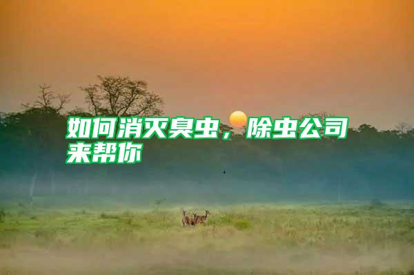 如何消滅臭蟲，除蟲公司來幫你