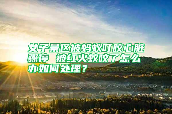 女子景區(qū)被螞蟻叮咬心臟驟停 被紅火蟻咬了怎么辦如何處理？
