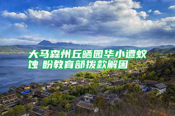 大馬森州丘曬園華小遭蟻蝕　盼教育部撥款解困