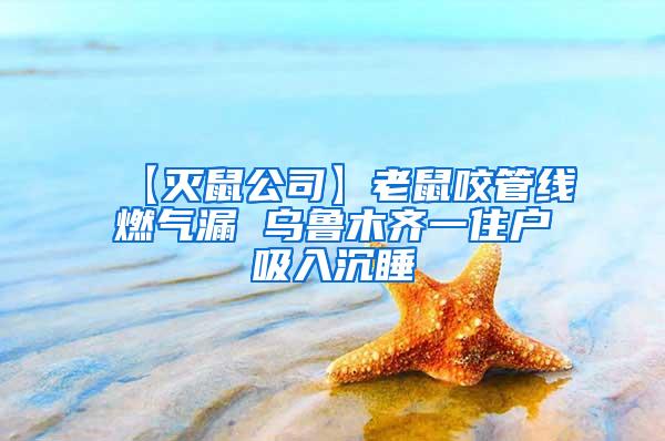 【滅鼠公司】老鼠咬管線燃?xì)饴?烏魯木齊一住戶吸入沉睡