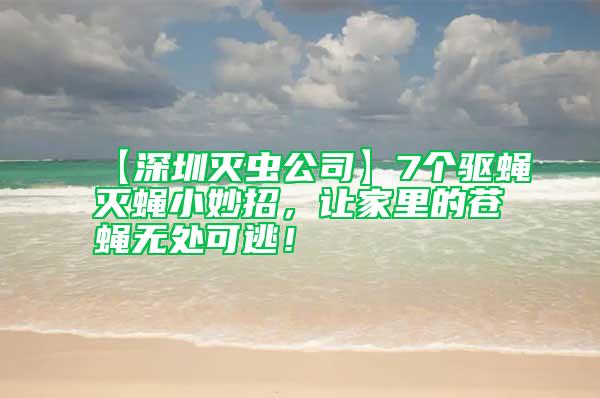 【深圳滅蟲公司】7個驅蠅滅蠅小妙招，讓家里的蒼蠅無處可逃！
