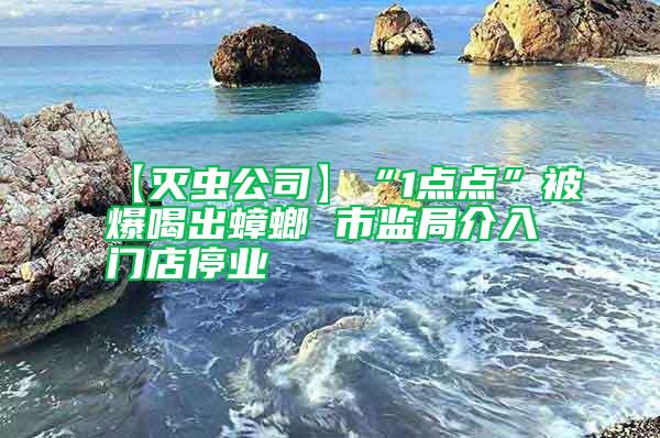 【滅蟲公司】“1點點”被爆喝出蟑螂 市監(jiān)局介入門店停業(yè)