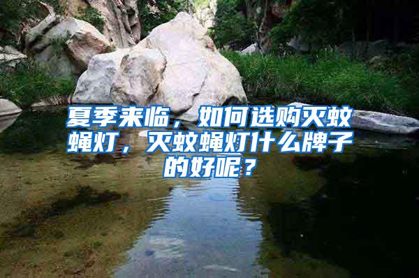 夏季來臨，如何選購滅蚊蠅燈，滅蚊蠅燈什么牌子的好呢？