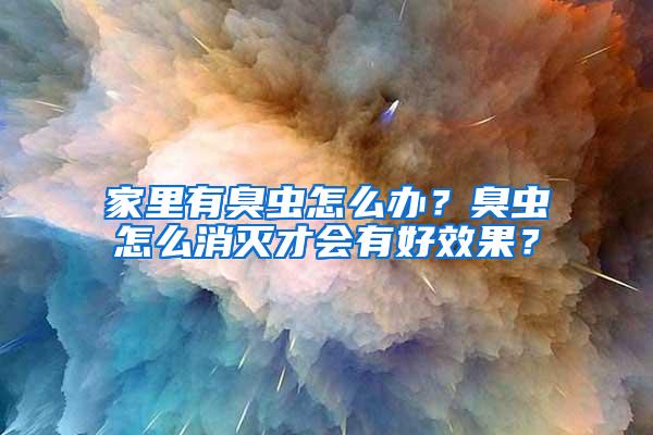 家里有臭蟲怎么辦?臭蟲怎么消滅才會有好效果?