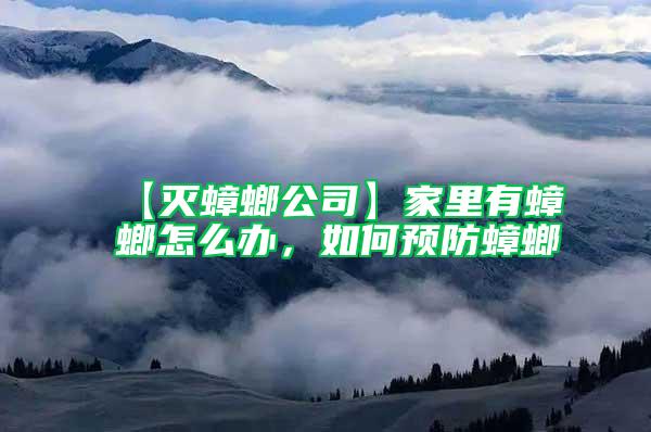 【滅蟑螂公司】家里有蟑螂怎么辦，如何預(yù)防蟑螂