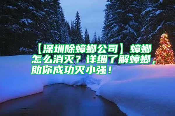 【深圳除蟑螂公司】蟑螂怎么消滅？詳細(xì)了解蟑螂，助你成功滅小強(qiáng)！
