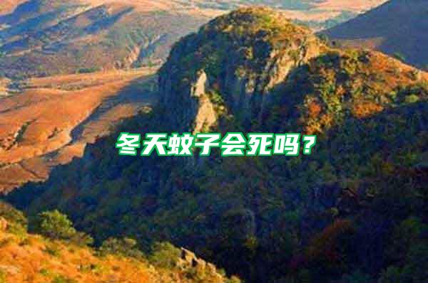 冬天蚊子會(huì)死嗎？