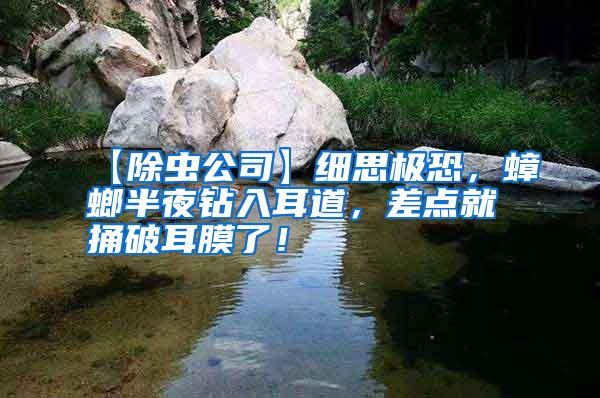 【除蟲公司】細(xì)思極恐，蟑螂半夜鉆入耳道，差點(diǎn)就捅破耳膜了！